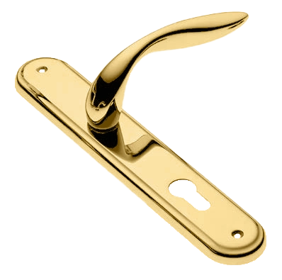 Ручка дверная на планке LEON PL OTL, цвет золото, латунь фото купить в Калининграде