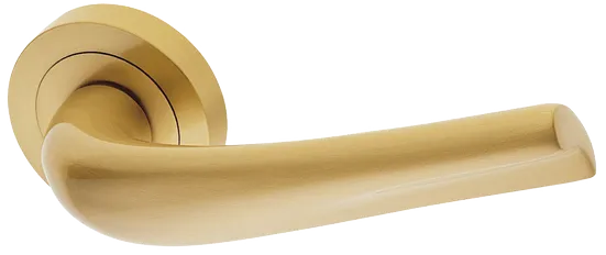 RAFT R2 OSA, ручка дверная, цвет - матовое золото фото купить Калининград