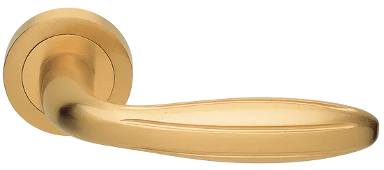 BUD R2 OSA, ручка дверная, цвет - матовое золото фото купить Калининград