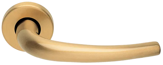 LILLA R3-E OSA, ручка дверная, цвет - матовое золото фото купить Калининград