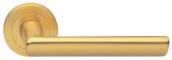 STELLA R2 OSA, ручка дверная, цвет - матовое золото фото купить Калининград