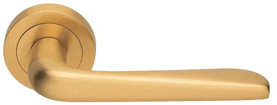 PETRA R2 OSA, ручка дверная, цвет - матовое золото фото купить Калининград