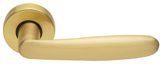 IMOLA R3-E OSA, ручка дверная, цвет - матовое золото фото купить Калининград