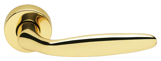 DERBY R3-E OTL, ручка дверная, цвет - золото фото купить Калининград