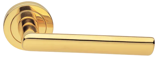 STELLA R2 OTL, ручка дверная, цвет - золото фото купить Калининград