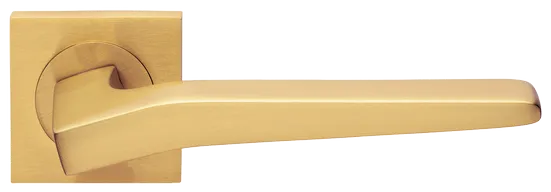 HILL S2 OSA, ручка дверная, цвет -  матовое золото фото купить Калининград