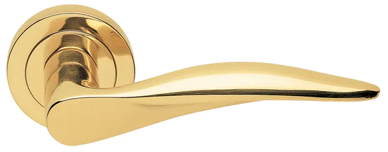 DALI R2 OTL, ручка дверная, цвет -  золото фото купить Калининград