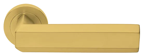 HARMONY R2 OSA, ручка дверная, цвет -  матовое золото фото купить Калининград